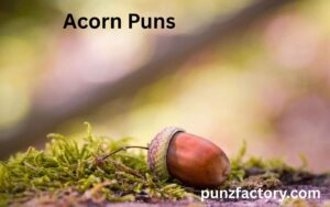 Read more about the article Acorn Puns That’ll Leaf You Smiling<div class="last-updated" style="font-size:14px; font-weight:bold; color:#444; background:#f5f5f5; padding:10px; border-radius:5px; margin-top:10px; margin-bottom:20px;">
                 Last updated: May 28, 2025 at 6:11 am by nameyourteams@gmail.com
            </div>