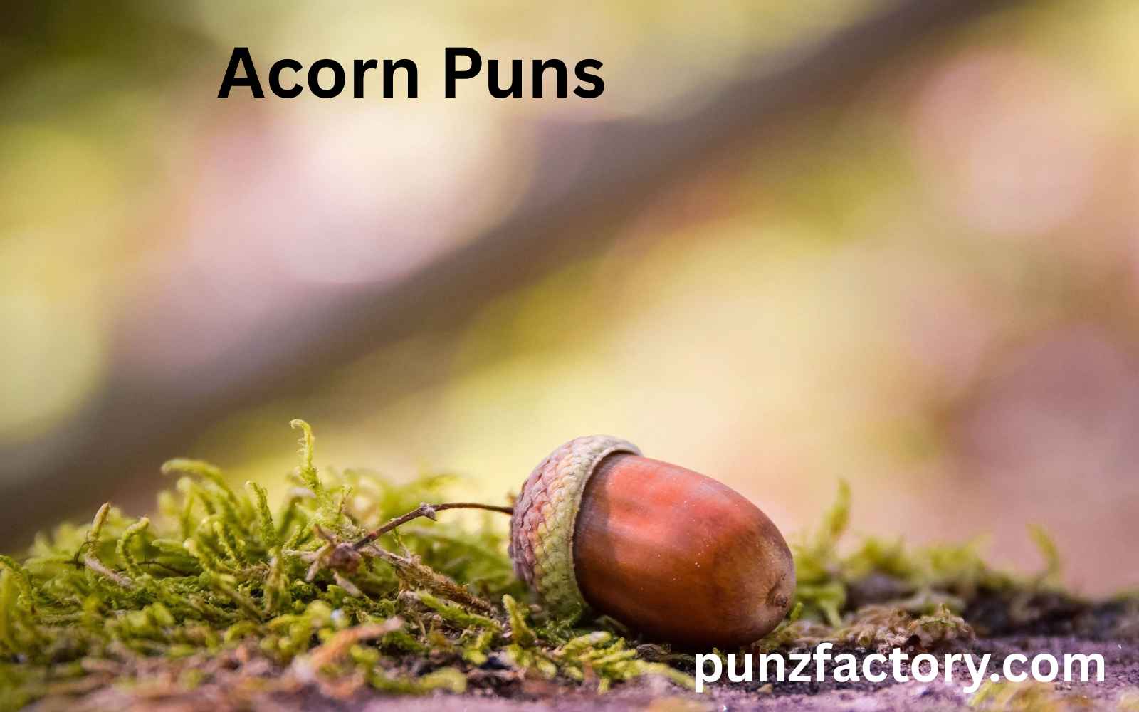 Read more about the article Acorn Puns That’ll Leaf You Smiling