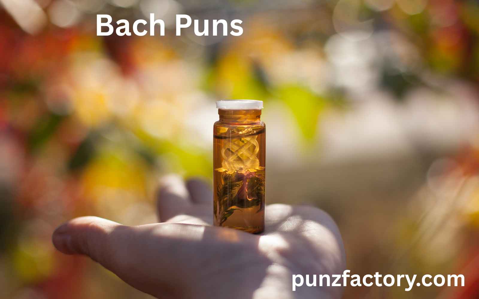 You are currently viewing 🎼 Bach Puns That’ll Keep You Composed<div class="last-updated" style="font-size:14px; font-weight:bold; color:#444; background:#f5f5f5; padding:10px; border-radius:5px; margin-top:10px; margin-bottom:20px;">
                 Last updated: May 28, 2025 at 6:08 am by nameyourteams@gmail.com
            </div>
