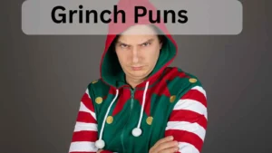 Read more about the article Grinch Puns: The Cheesiest Way to Spread Holiday Cheer<div class="last-updated" style="font-size:14px; font-weight:bold; color:#444; background:#f5f5f5; padding:10px; border-radius:5px; margin-top:10px; margin-bottom:20px;">
                 Last updated: May 14, 2025 at 3:30 pm by nameyourteams@gmail.com
            </div>
