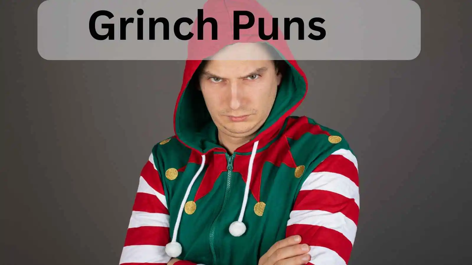 You are currently viewing Grinch Puns: The Cheesiest Way to Spread Holiday Cheer<div class="last-updated" style="font-size:14px; font-weight:bold; color:#444; background:#f5f5f5; padding:10px; border-radius:5px; margin-top:10px; margin-bottom:20px;">
                 Last updated: May 14, 2025 at 3:30 pm by nameyourteams@gmail.com
            </div>