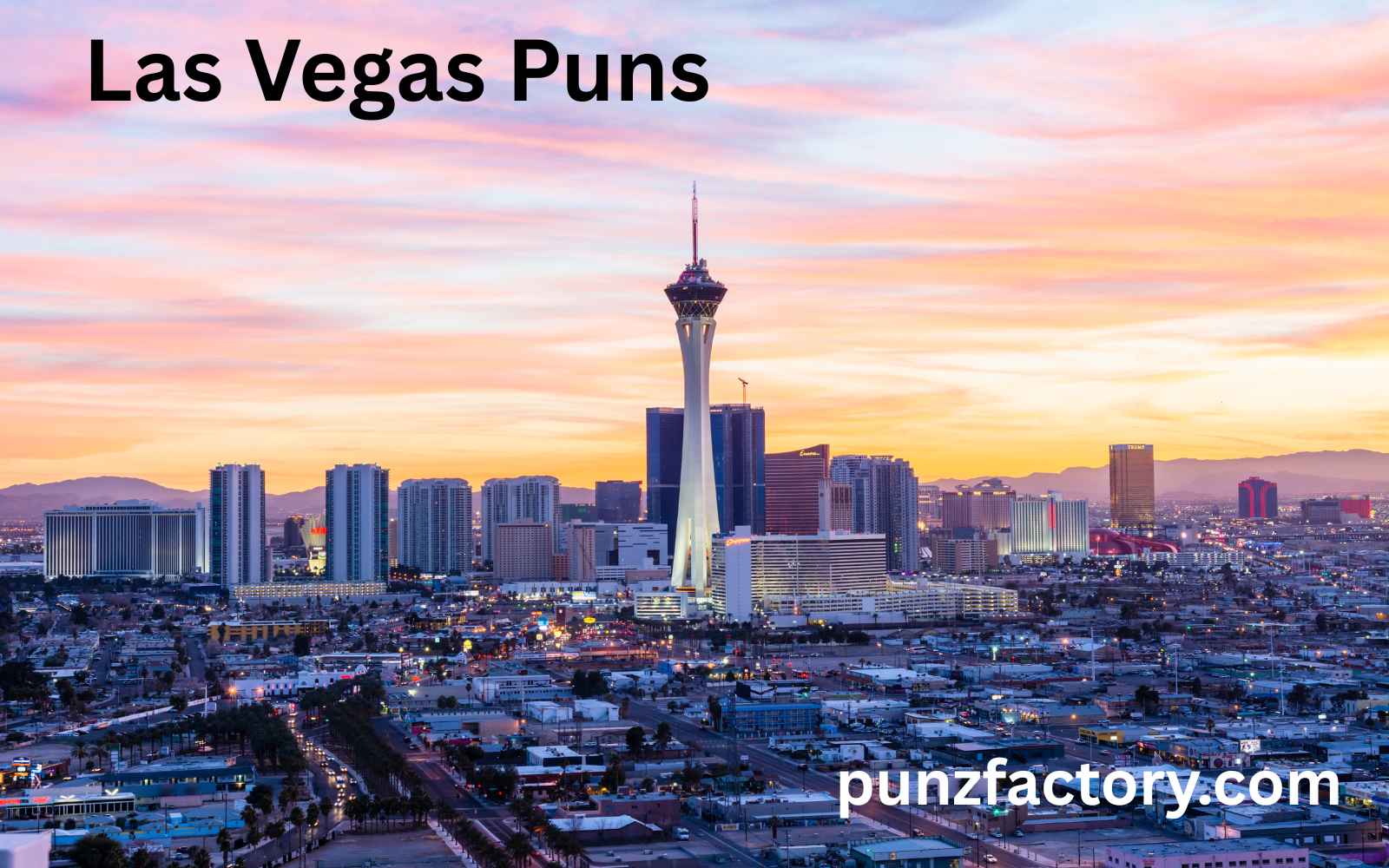 Read more about the article 🎰 Las Vegas Puns That Are a Sure Bet for Laughs