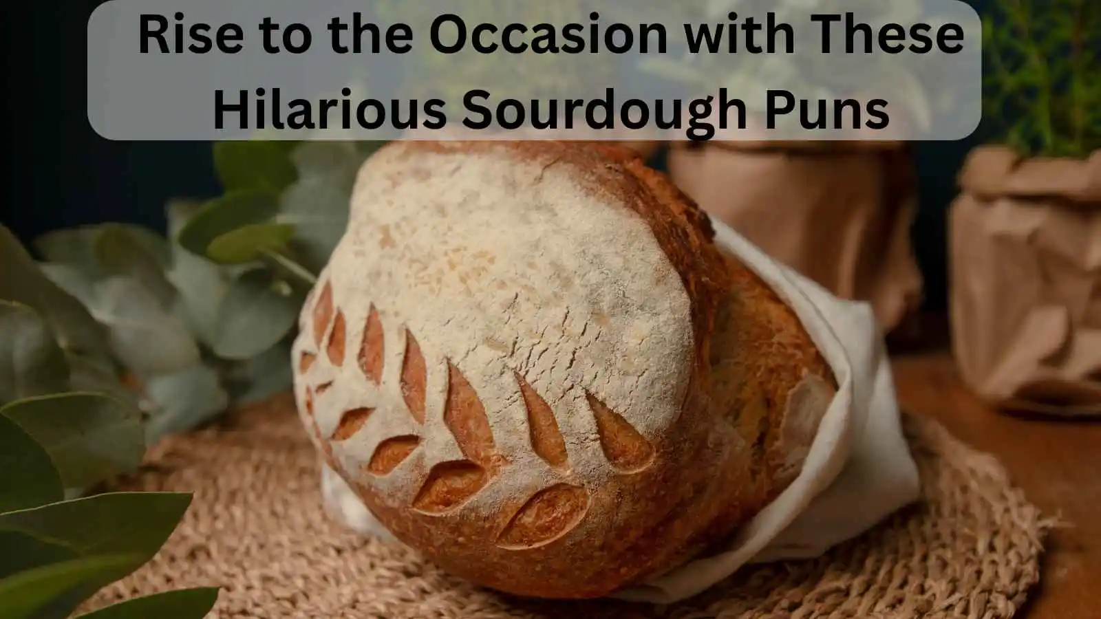 You are currently viewing Rise to the Occasion with These Hilarious Sourdough Puns 🍞😂<div class="last-updated" style="font-size:14px; font-weight:bold; color:#444; background:#f5f5f5; padding:10px; border-radius:5px; margin-top:10px; margin-bottom:20px;">
                 Last updated: May 14, 2025 at 3:44 pm by nameyourteams@gmail.com
            </div>