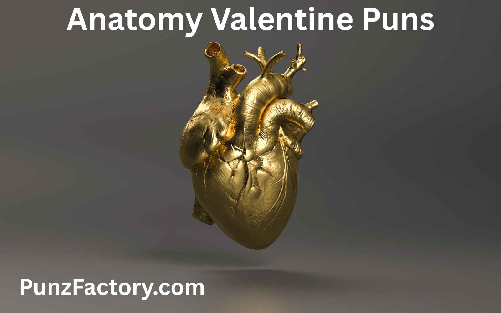 Read more about the article 🧠 Anatomy Valentine Puns That Will Steal Your Heart (Literally)
