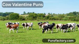 Read more about the article Cow Valentine Puns: The Ultimate Cheesy Guide for Love & Laughs 🐄❤️<div class="last-updated" style="font-size:14px; font-weight:bold; color:#444; background:#f5f5f5; padding:10px; border-radius:5px; margin-top:10px; margin-bottom:20px;">
                 Last updated: June 26, 2025 at 6:16 am by nameyourteams@gmail.com
            </div>