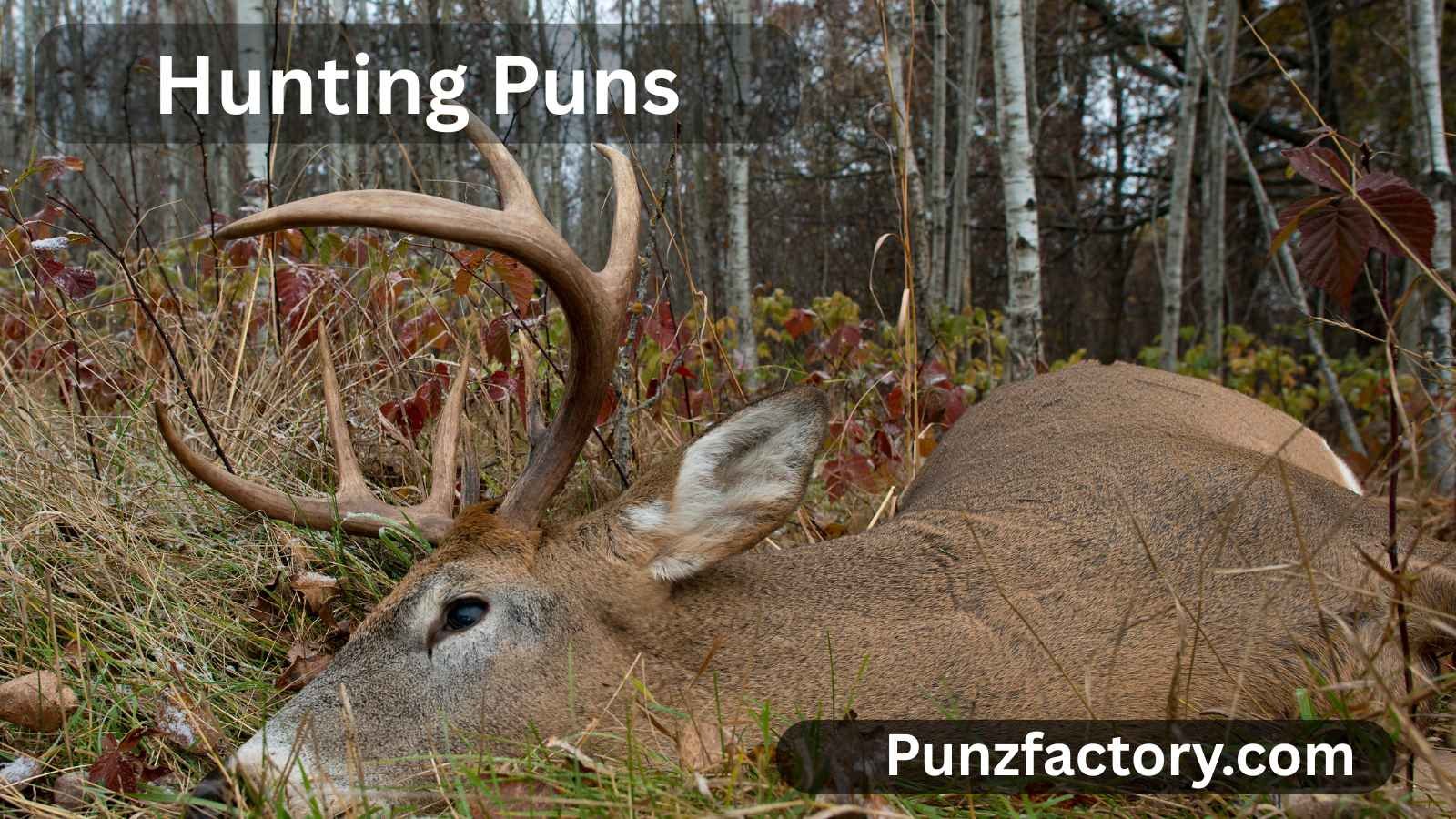 You are currently viewing Hunting Puns: The Ultimate Guide to Clever, Fun, and Playful Hunting Wordplay<div class="last-updated" style="font-size:14px; font-weight:bold; color:#444; background:#f5f5f5; padding:10px; border-radius:5px; margin-top:10px; margin-bottom:20px;">
                 Last updated: June 25, 2025 at 5:35 am by nameyourteams@gmail.com
            </div>