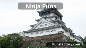Read more about the article Ninja Puns: Stealthy, Sharp, and Seriously Fun Wordplay