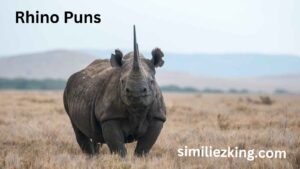 Read more about the article Rhino Puns That’ll Leave You Horn-struck 🦏😂