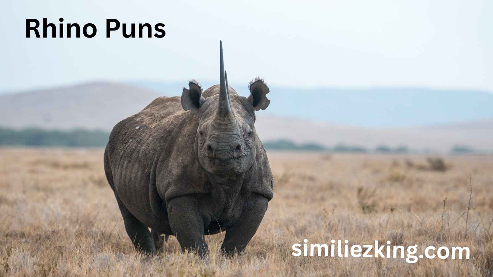 You are currently viewing Rhino Puns That’ll Leave You Horn-struck 🦏😂