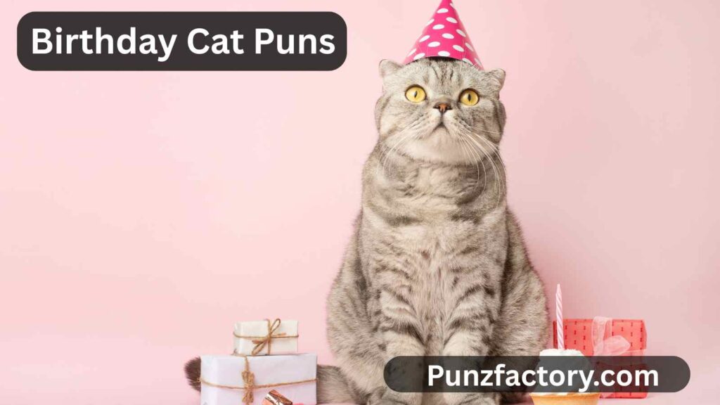 Birthday Cat Puns: The Purr-fect Way to Celebrate Your Feline Friend’s Special Day