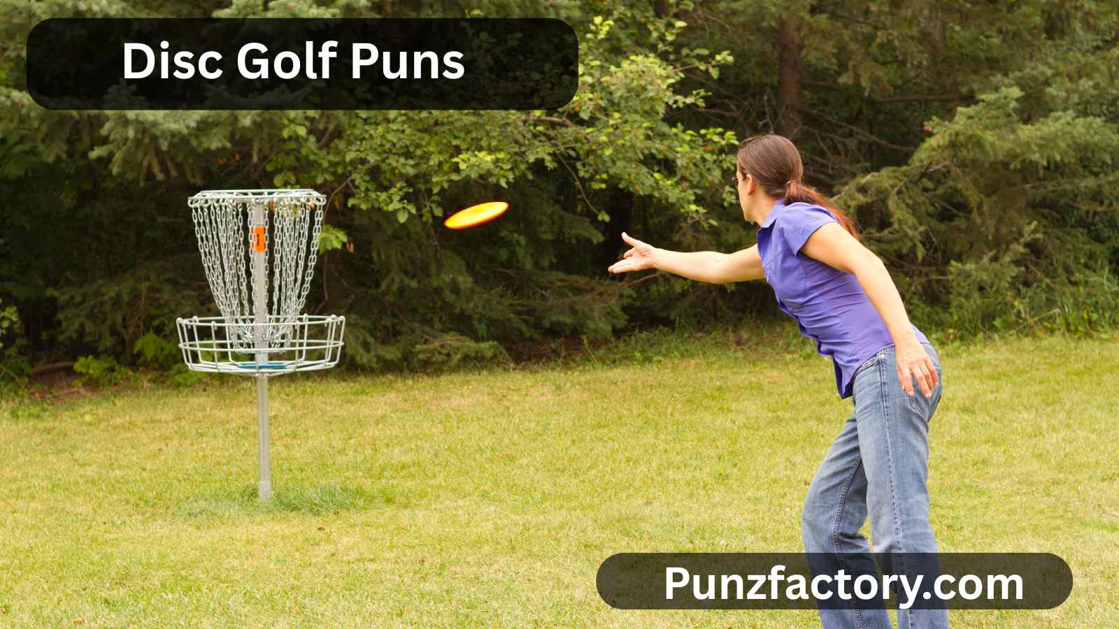 Read more about the article Disc Golf Puns That Are a Real Ace in the Hole 🥏😂