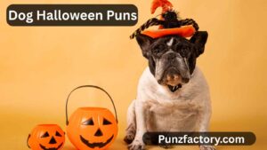 Read more about the article Dog Halloween Puns: Howl-oween Humor for Pawsome Fun!