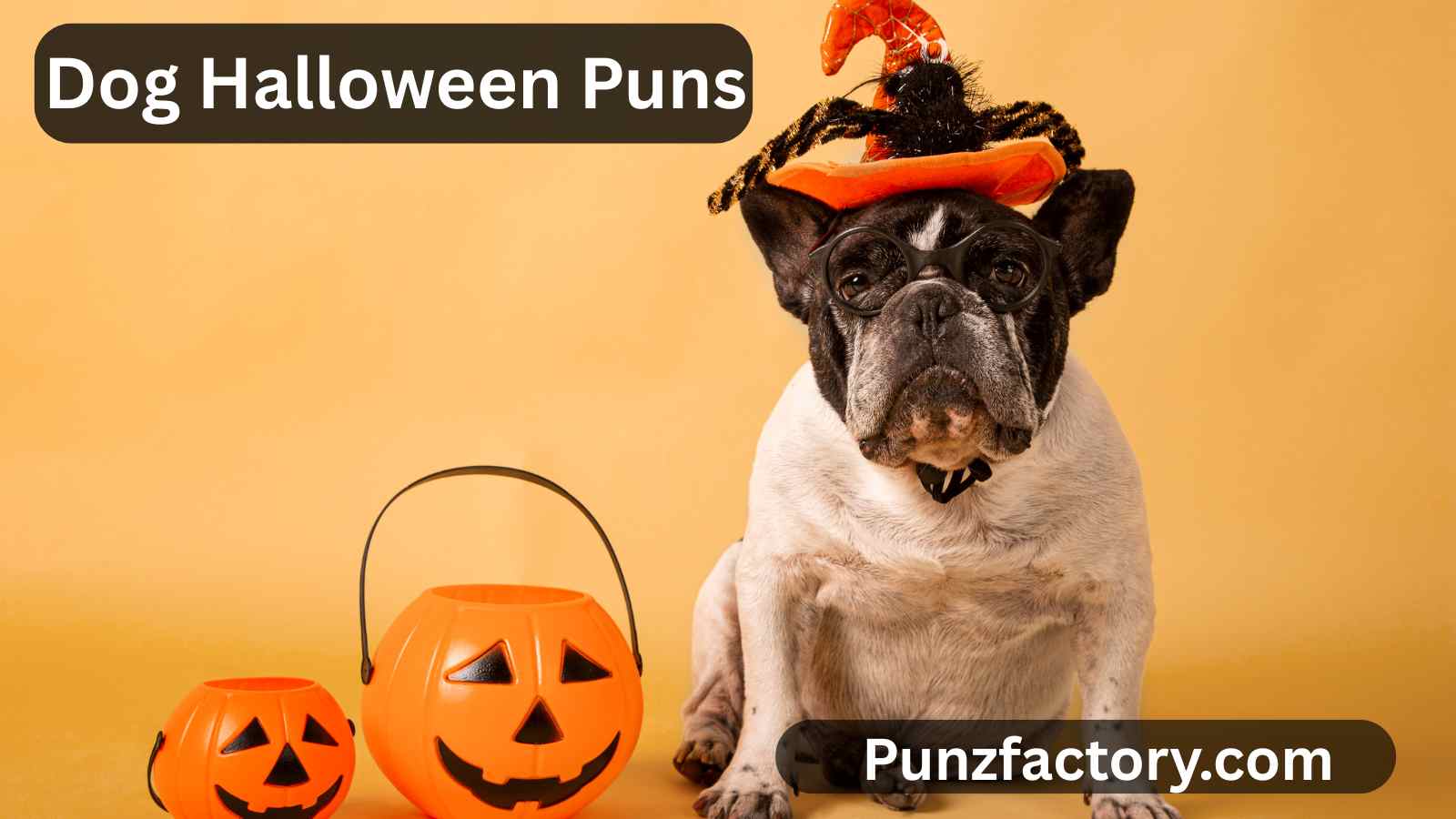 Read more about the article Dog Halloween Puns: Howl-oween Humor for Pawsome Fun!