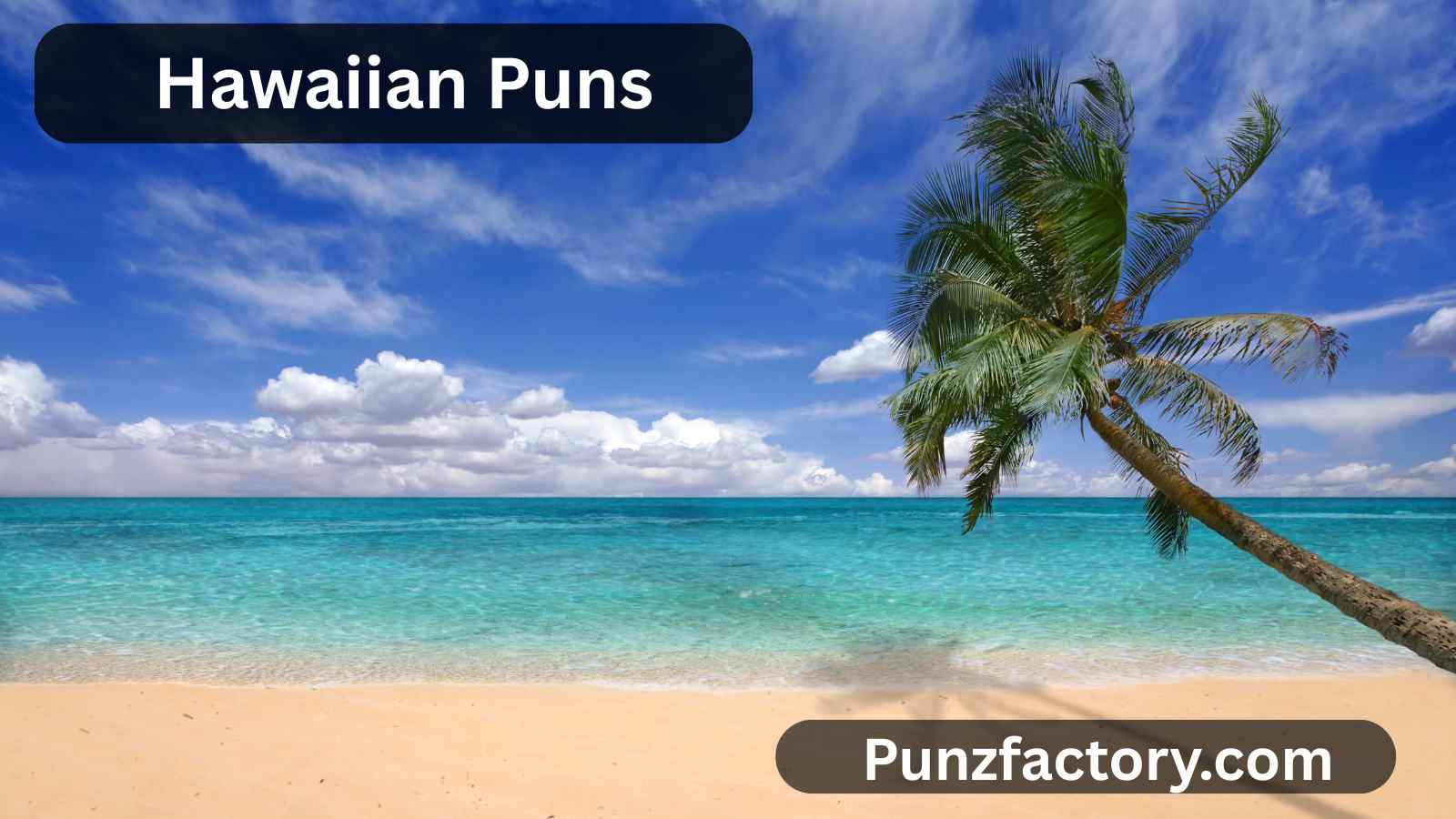You are currently viewing  Hawaiian Puns<div class="last-updated" style="font-size:14px; font-weight:bold; color:#444; background:#f5f5f5; padding:10px; border-radius:5px; margin-top:10px; margin-bottom:20px;">
                 Last updated: July 30, 2025 at 5:20 am by nameyourteams@gmail.com
            </div>