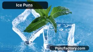 Read more about the article Ice Puns One Liners<div class="last-updated" style="font-size:14px; font-weight:bold; color:#444; background:#f5f5f5; padding:10px; border-radius:5px; margin-top:10px; margin-bottom:20px;">
                 Last updated: July 27, 2025 at 5:57 am by nameyourteams@gmail.com
            </div>