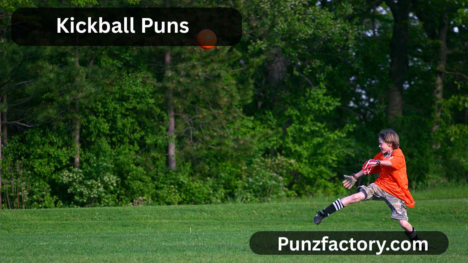 You are currently viewing Kickball Puns: The Cheesy Guide to Fun and Laughter<div class="last-updated" style="font-size:14px; font-weight:bold; color:#444; background:#f5f5f5; padding:10px; border-radius:5px; margin-top:10px; margin-bottom:20px;">
                 Last updated: July 28, 2025 at 4:32 am by nameyourteams@gmail.com
            </div>