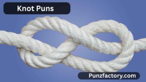 Read more about the article Knot Puns: The Ultimate Cheesy Guide to Twisting Words and Tying Laughs<div class="last-updated" style="font-size:14px; font-weight:bold; color:#444; background:#f5f5f5; padding:10px; border-radius:5px; margin-top:10px; margin-bottom:20px;">
                 Last updated: July 12, 2025 at 5:26 am by nameyourteams@gmail.com
            </div>
