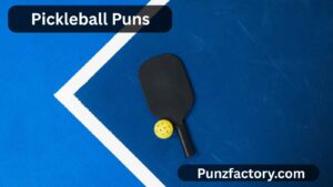 Read more about the article Pickleball Puns: The Ultimate Guide to Dinking, Serving, and Smashing Fun!<div class="last-updated" style="font-size:14px; font-weight:bold; color:#444; background:#f5f5f5; padding:10px; border-radius:5px; margin-top:10px; margin-bottom:20px;">
                 Last updated: July 29, 2025 at 5:36 am by nameyourteams@gmail.com
            </div>