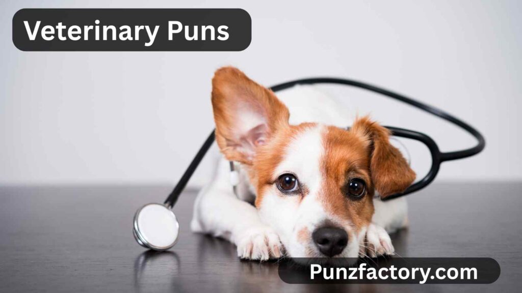 Veterinary Puns: The Ultimate Collection for Vet Lovers, Captions & Jokes 🐾🩺