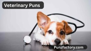 Read more about the article Veterinary Puns: The Ultimate Collection for Vet Lovers, Captions & Jokes 🐾🩺<div class="last-updated" style="font-size:14px; font-weight:bold; color:#444; background:#f5f5f5; padding:10px; border-radius:5px; margin-top:10px; margin-bottom:20px;">
                 Last updated: August 3, 2025 at 5:25 am by nameyourteams@gmail.com
            </div>