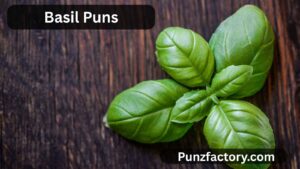 Read more about the article Basil Puns: The Ultimate Cheese Pun Collection for Captions, Jokes & Fun Chats 🧀🌿<div class="last-updated" style="font-size:14px; font-weight:bold; color:#444; background:#f5f5f5; padding:10px; border-radius:5px; margin-top:10px; margin-bottom:20px;">
                 Last updated: August 11, 2025 at 5:50 am by nameyourteams@gmail.com
            </div>