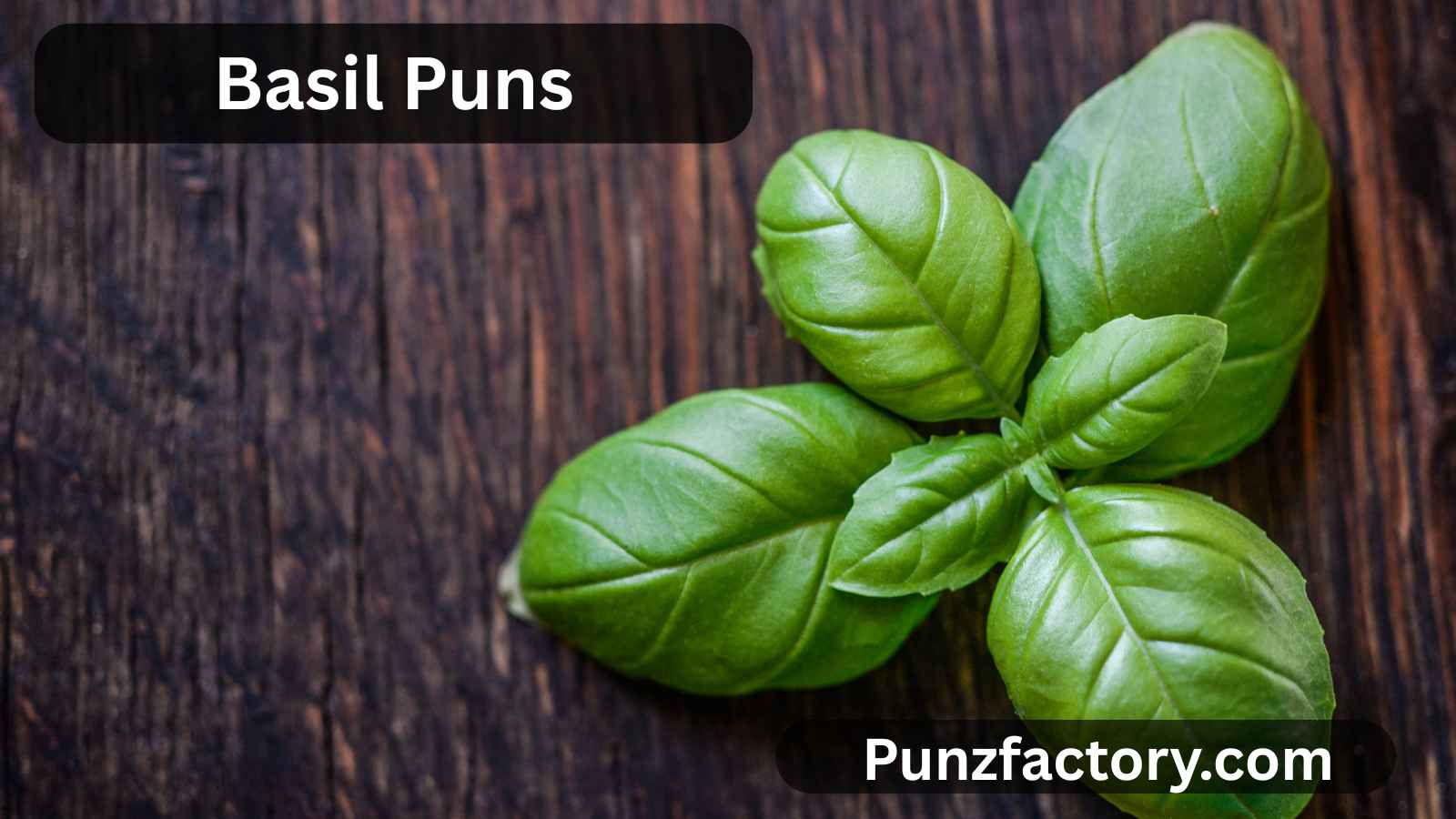 You are currently viewing Basil Puns: The Ultimate Cheese Pun Collection for Captions, Jokes & Fun Chats 🧀🌿<div class="last-updated" style="font-size:14px; font-weight:bold; color:#444; background:#f5f5f5; padding:10px; border-radius:5px; margin-top:10px; margin-bottom:20px;">
                 Last updated: August 11, 2025 at 5:50 am by nameyourteams@gmail.com
            </div>