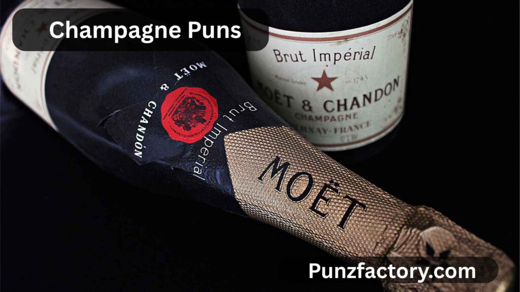 Champagne Puns: Pop the Fun with These Sparkling Wordplays! 🍾✨