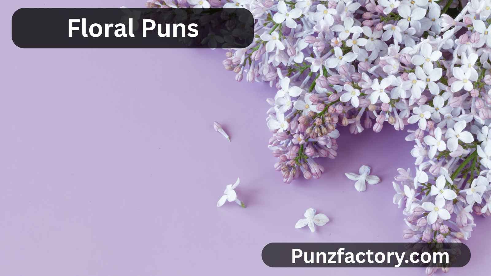 You are currently viewing Floral Puns: The Best Blooming Jokes & Captions to Brighten Your Day<div class="last-updated" style="font-size:14px; font-weight:bold; color:#444; background:#f5f5f5; padding:10px; border-radius:5px; margin-top:10px; margin-bottom:20px;">
                 Last updated: August 11, 2025 at 5:54 am by nameyourteams@gmail.com
            </div>