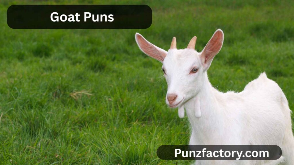 Goat Puns One Liners: The Ultimate Fun Guide for Cheese Lovers and Pun Fans 🐐🧀
