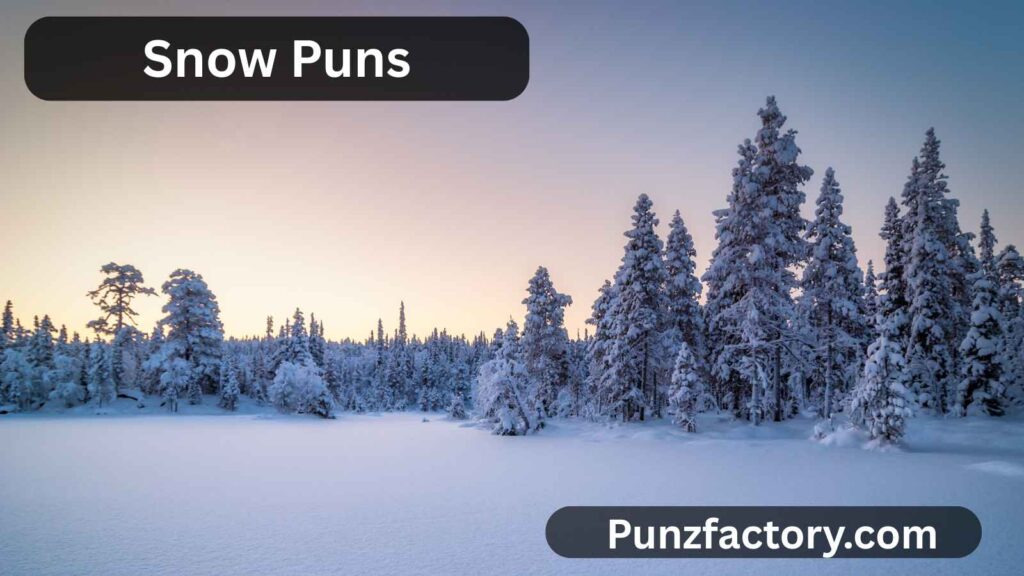 Snow Puns One Liners