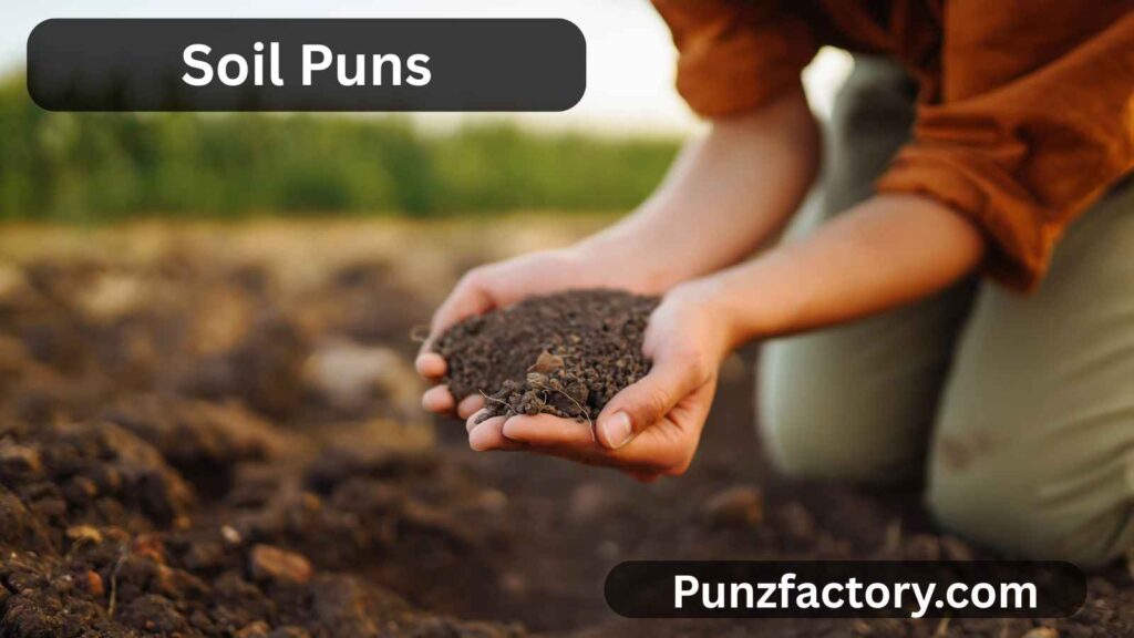 Soil Puns: Get Your Hands Dirty with the Best Earthy Wordplay! 🌱