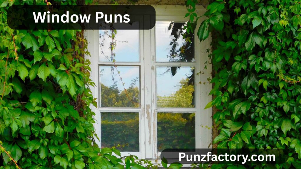 Window Puns: The Brightest & Most Hilarious Pane Jokes for Every Occasion